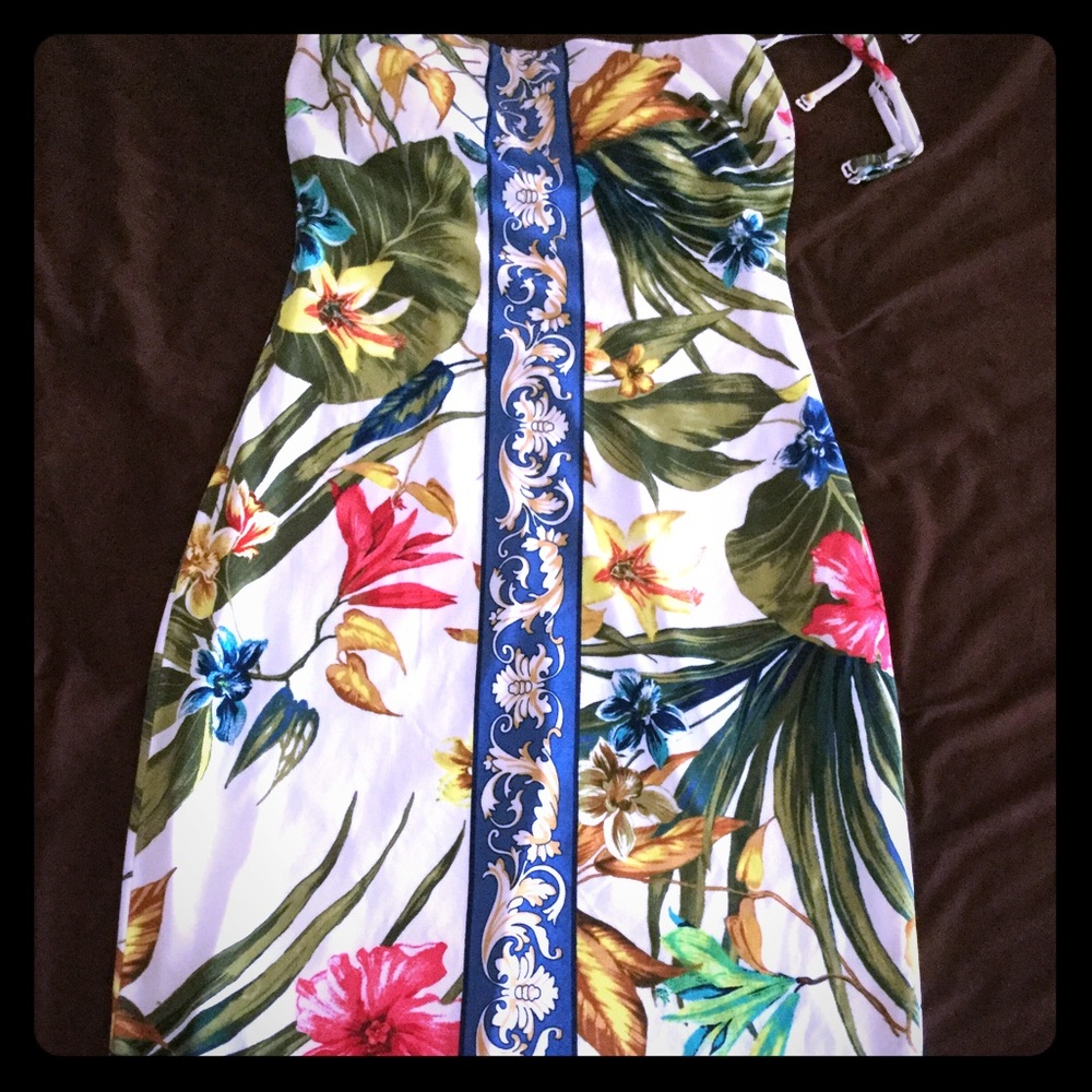 Cache Dress
